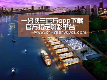 案例展示八